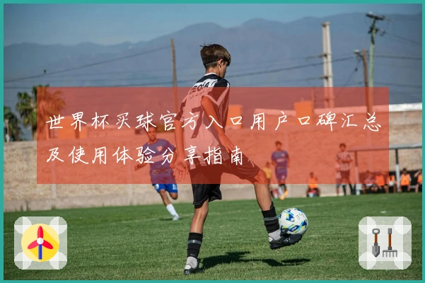 世界杯买球官方入口用户口碑汇总及使用体验分享指南