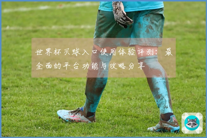 世界杯买球入口使用体验评测：最全面的平台功能与攻略分享