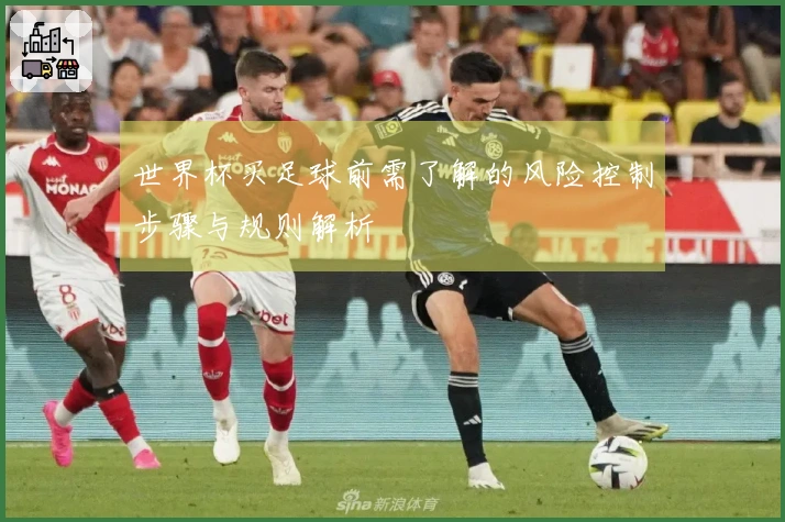 世界杯买足球前需了解的风险控制步骤与规则解析