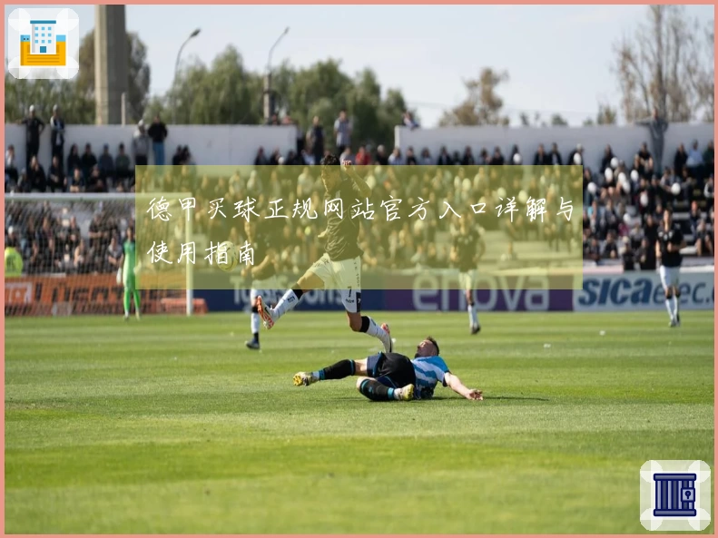 德甲买球正规网站官方入口详解与使用指南