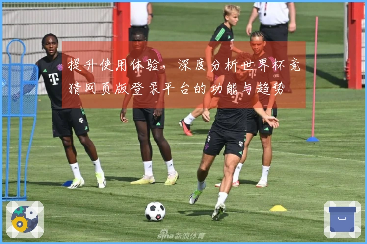 提升使用体验，深度分析世界杯竞猜网页版登录平台的功能与趋势