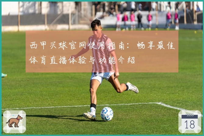 西甲买球官网使用指南：畅享最佳体育直播体验与功能介绍