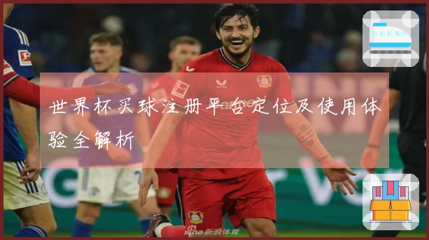世界杯买球注册平台定位及使用体验全解析