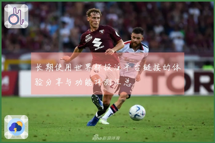 长期使用世界杯投注平台链接的体验分享与功能评测汇总