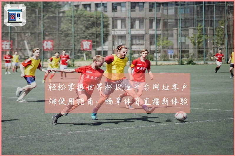 轻松掌握世界杯投注平台网址客户端使用指南，畅享体育直播新体验！