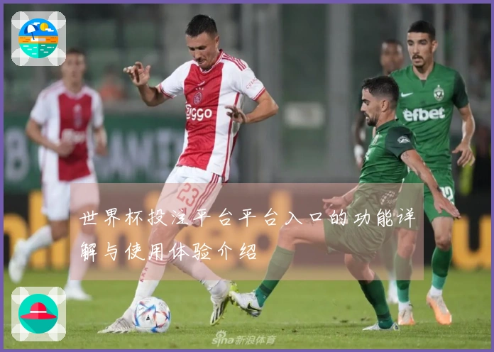 世界杯投注平台平台入口的功能详解与使用体验介绍