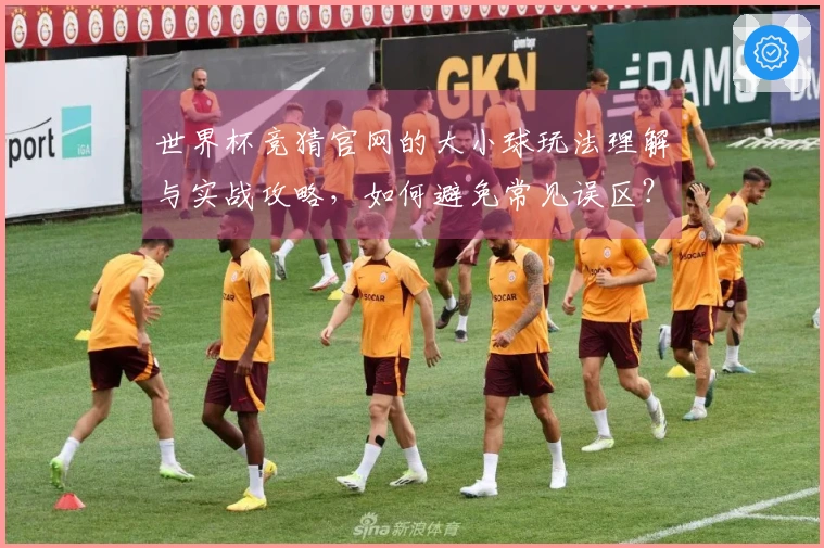 世界杯竞猜官网的大小球玩法理解与实战攻略，如何避免常见误区？
