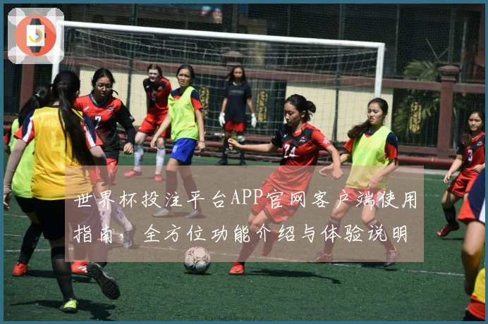 世界杯投注平台APP官网客户端使用指南，全方位功能介绍与体验说明