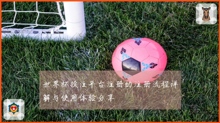世界杯投注平台注册的注册流程详解与使用体验分享