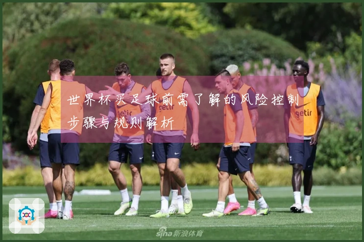 世界杯买足球前需了解的风险控制步骤与规则解析