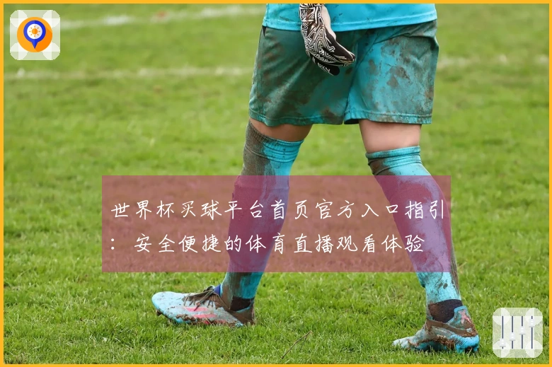 世界杯买球平台首页官方入口指引：安全便捷的体育直播观看体验