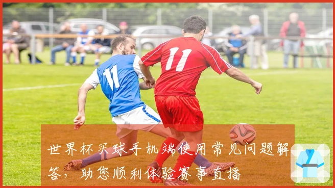 世界杯买球手机端使用常见问题解答，助您顺利体验赛事直播