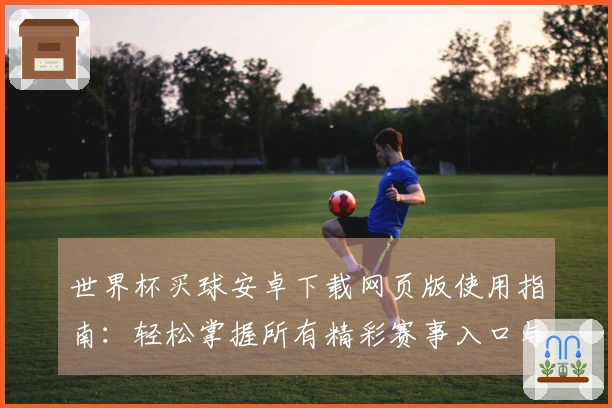 世界杯买球安卓下载网页版使用指南：轻松掌握所有精彩赛事入口与功能