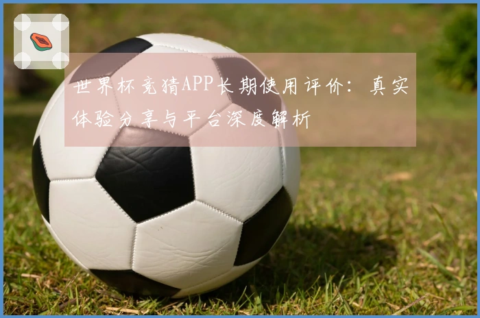世界杯竞猜APP长期使用评价：真实体验分享与平台深度解析