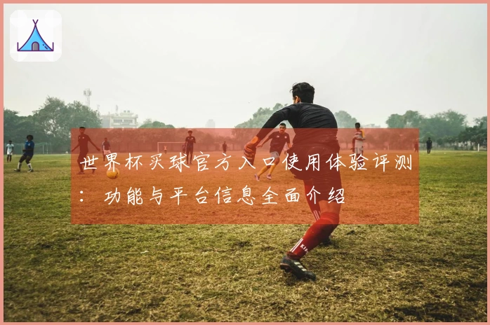 世界杯买球官方入口使用体验评测：功能与平台信息全面介绍