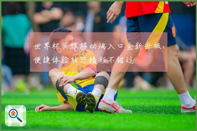 世界杯买球移动端入口全新升级，便捷体验助您精彩不错过