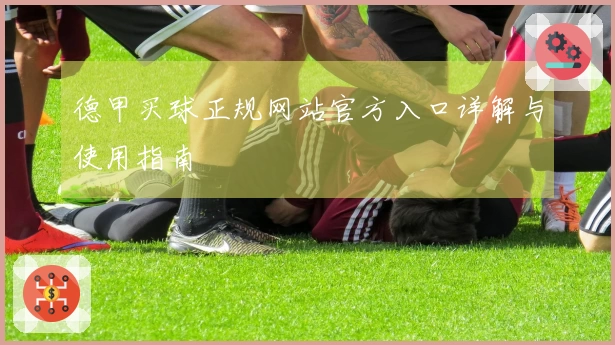 德甲买球正规网站官方入口详解与使用指南