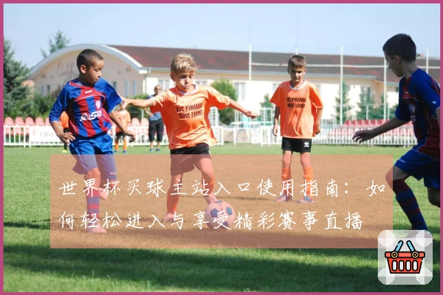 世界杯买球主站入口使用指南：如何轻松进入与享受精彩赛事直播