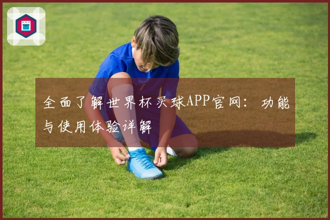 全面了解世界杯买球APP官网：功能与使用体验详解
