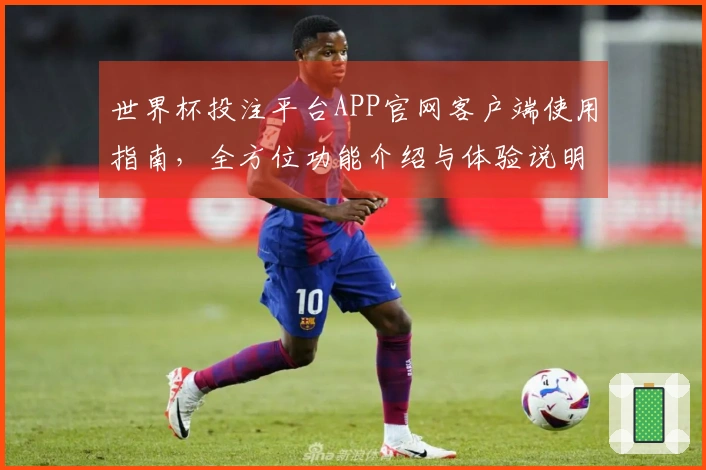 世界杯投注平台APP官网客户端使用指南，全方位功能介绍与体验说明